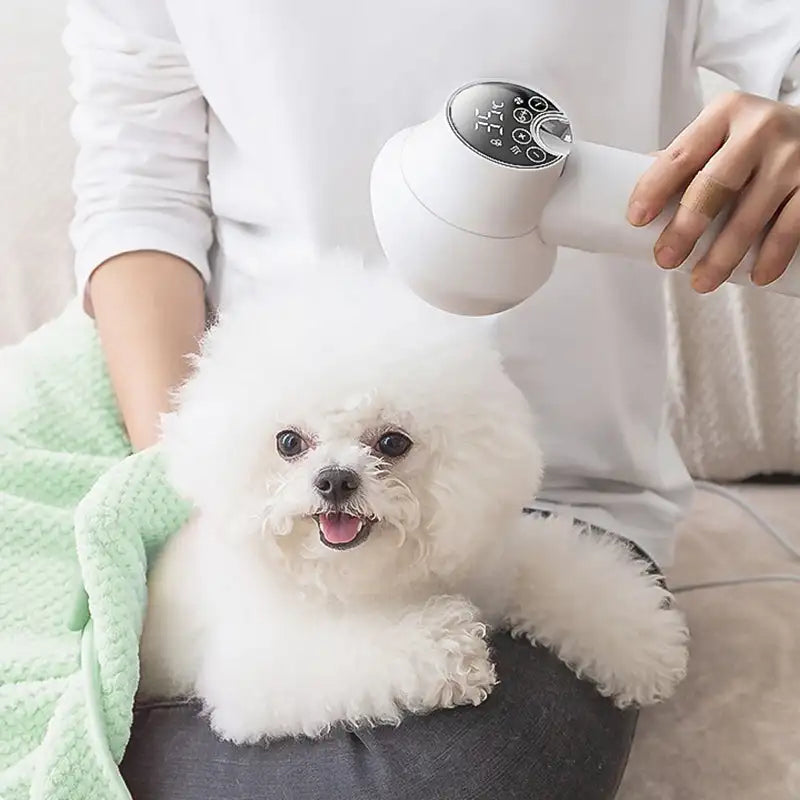 All-in-One Canine Drying and Grooming Device