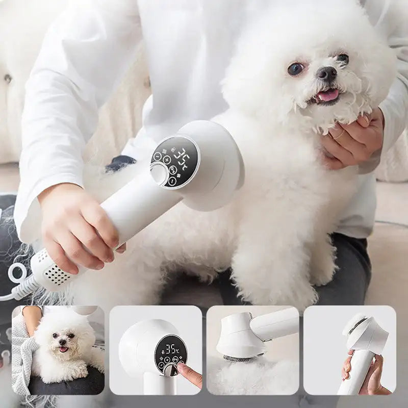 All-in-One Canine Drying and Grooming Device