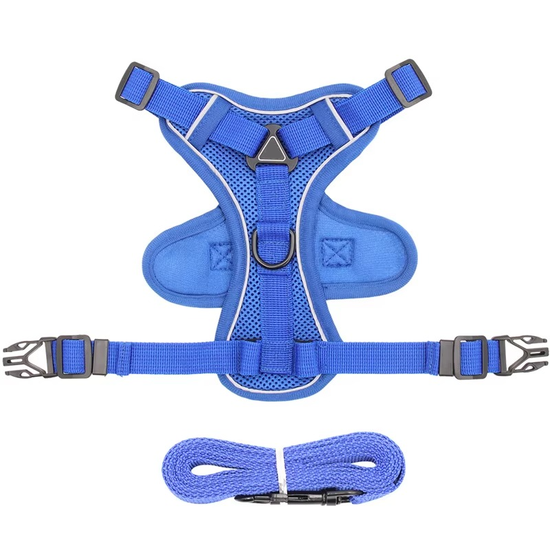 Comfort Fit Cat Harness and Leash Combo