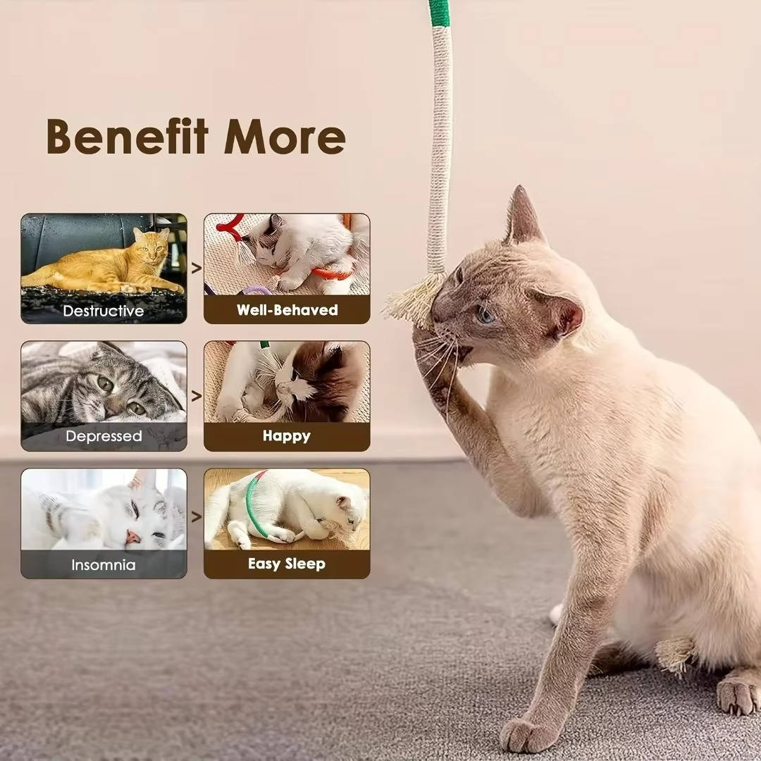 Ultimate Chew Playset for Cats