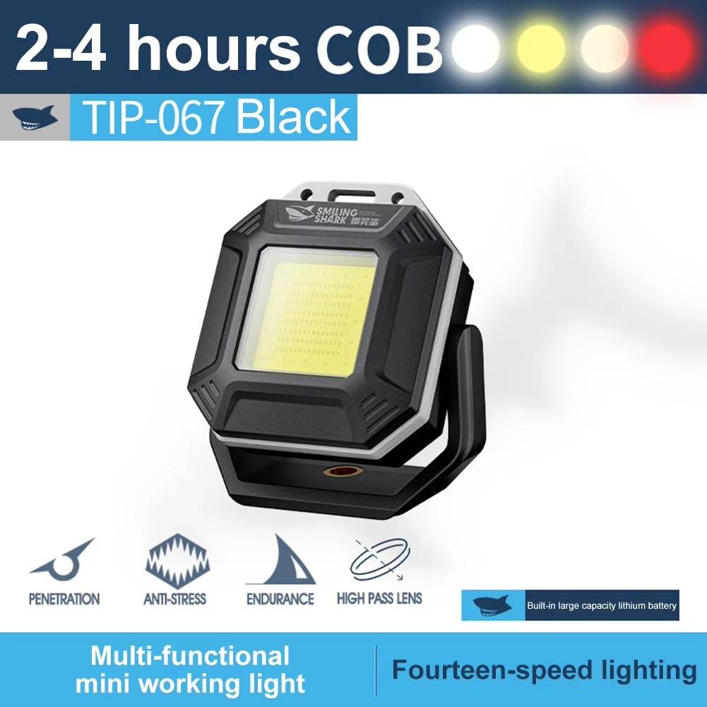 Versatile Vehicle Emergency Light System