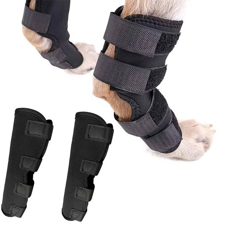 Canine Comfort Brace for Joint Support