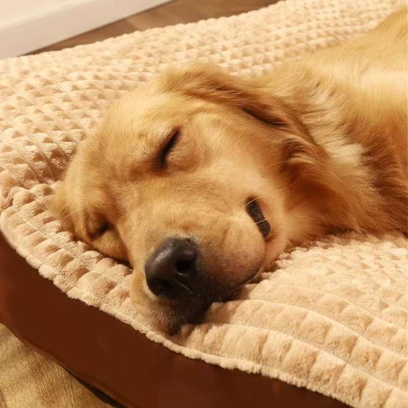 CozyNest Deluxe Dog Bed - Plush Fleece Comfort
