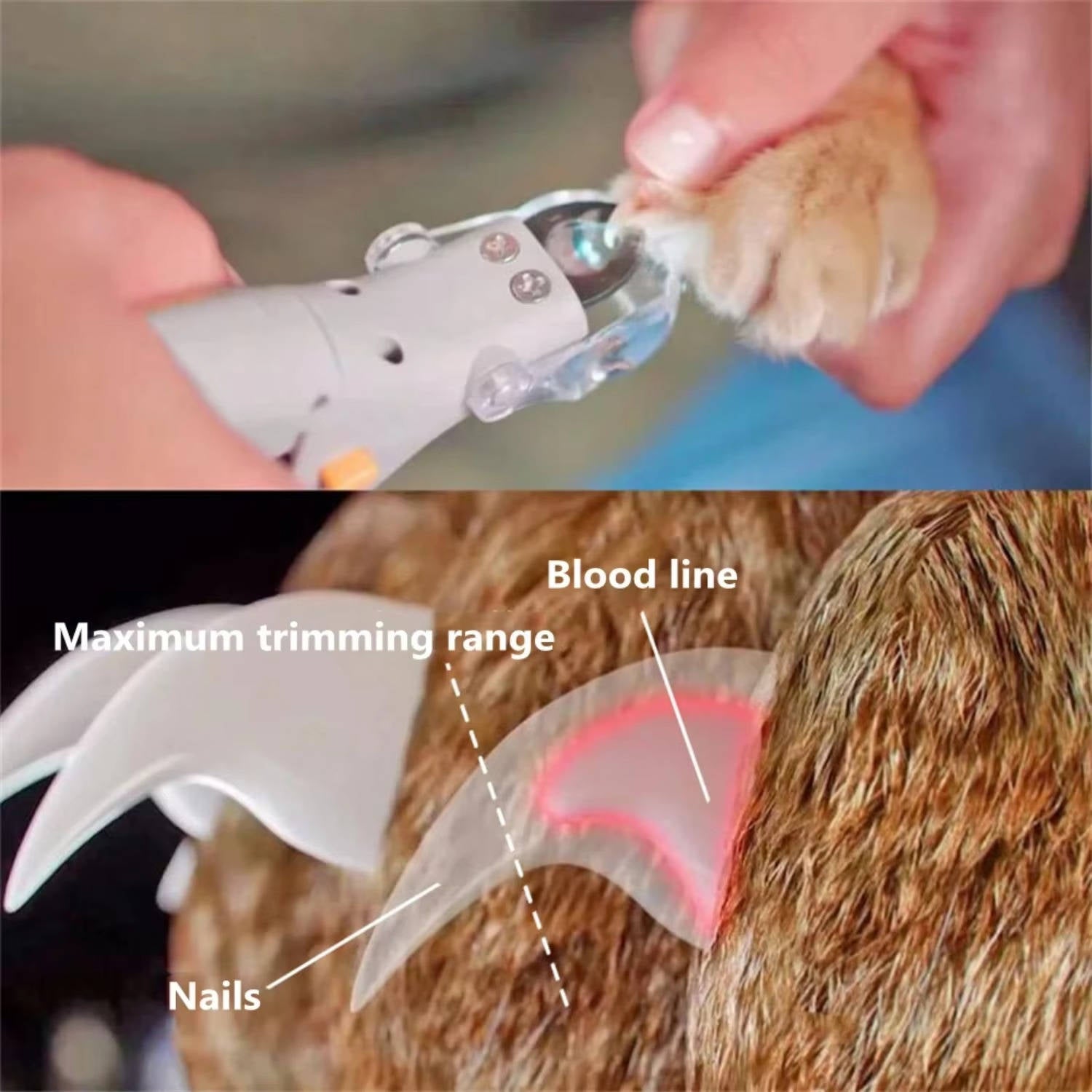BrightView Pet Nail Clipper for Safe Grooming