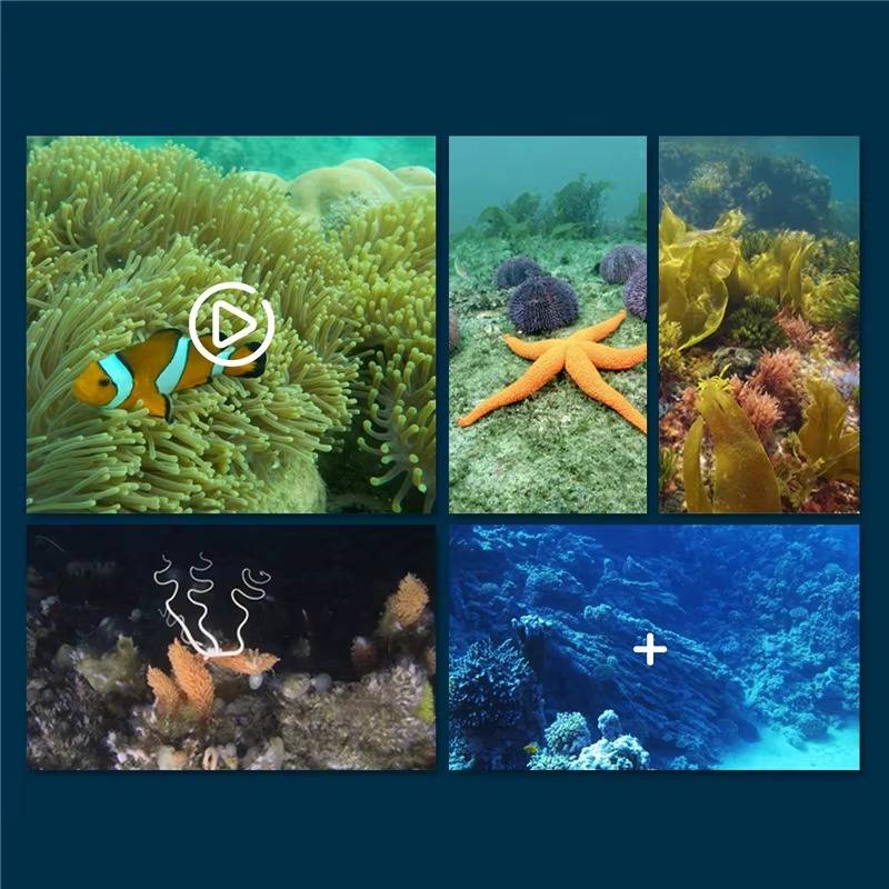 Underwater Explorer Drone with Live Streaming Camera