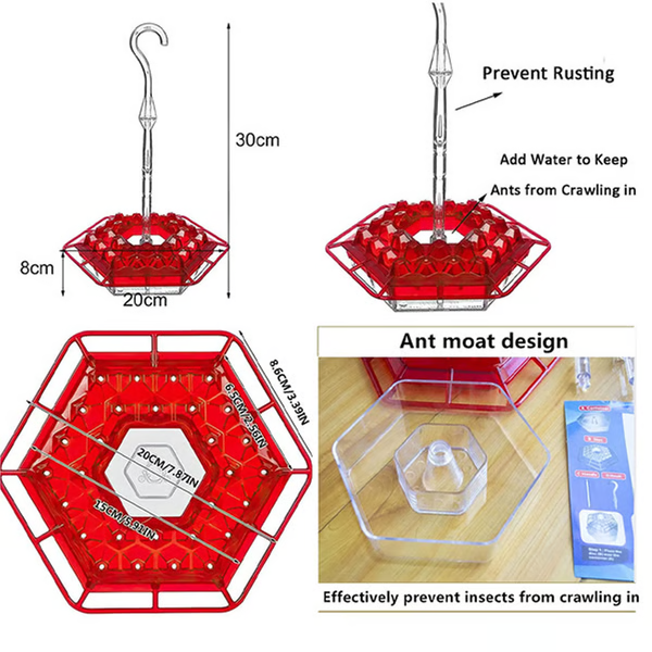 Deluxe Hummingbird Feeder with Integrated Ant Barrier