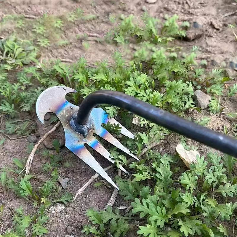 ErgoWeed Eliminator