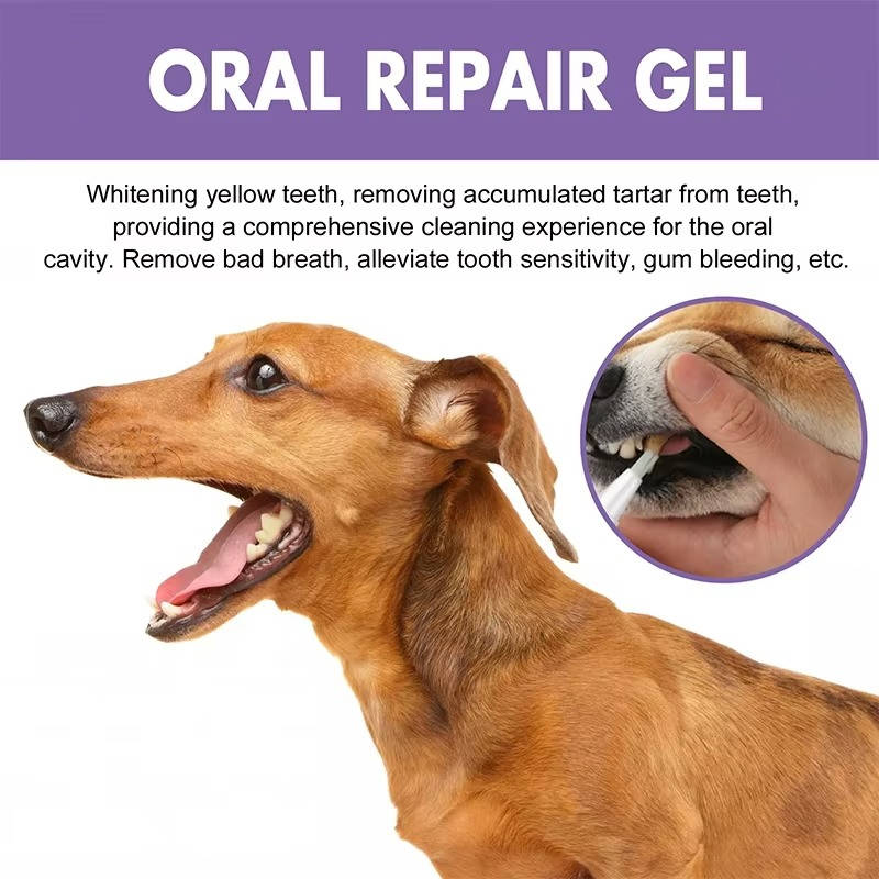 Triple Pack Canine Dental Care Gel