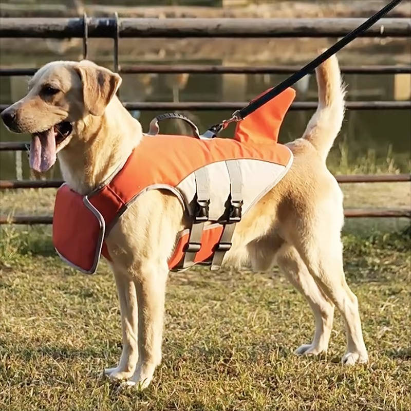 Paw Floatation Vest for Confident Swimmers