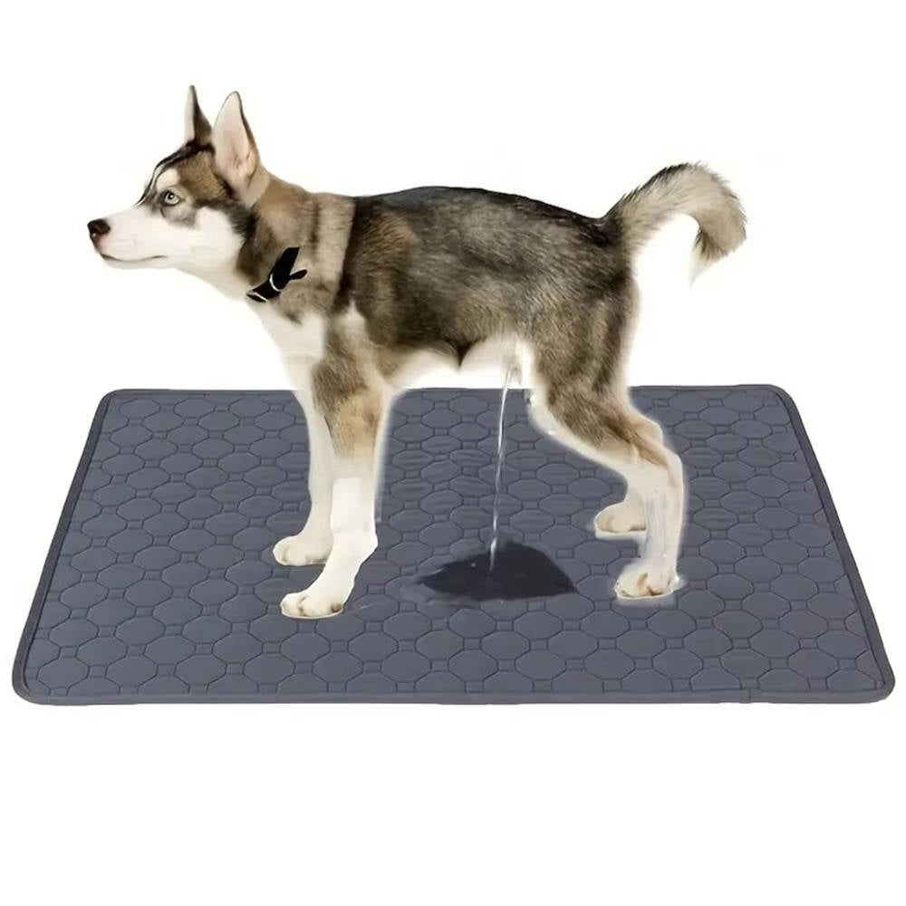 Ultimate Pet Training Pads: Disposable & Washable