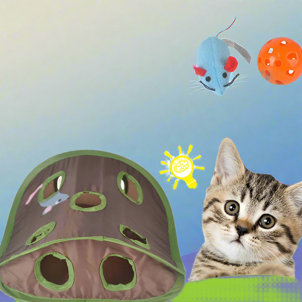 Exciting 9-Hole Cat Play Tunnel with Mouse & Ball