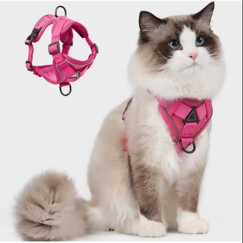 Comfort Fit Cat Harness and Leash Combo