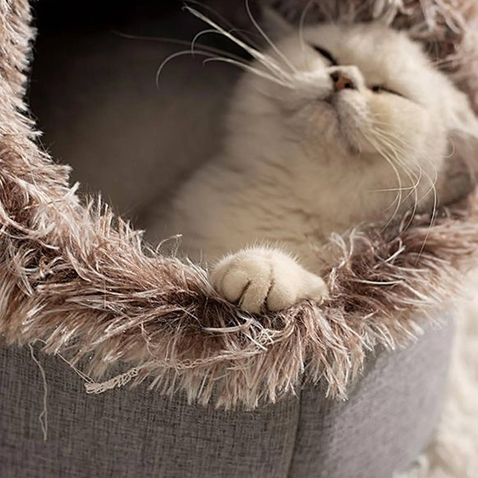 Cozy Retreat Cat Bed for Winter Comfort