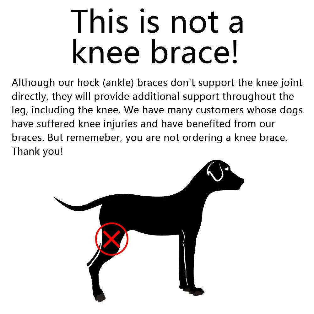 Canine Comfort Brace for Joint Support