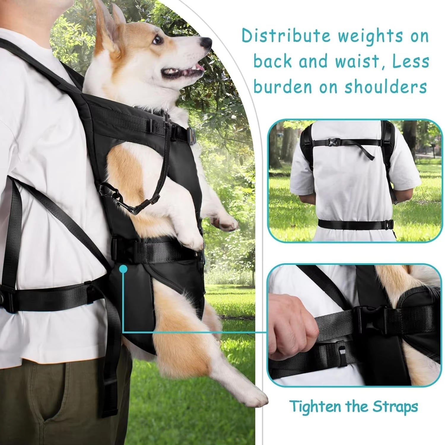 Pet Adventure Carrier Backpack