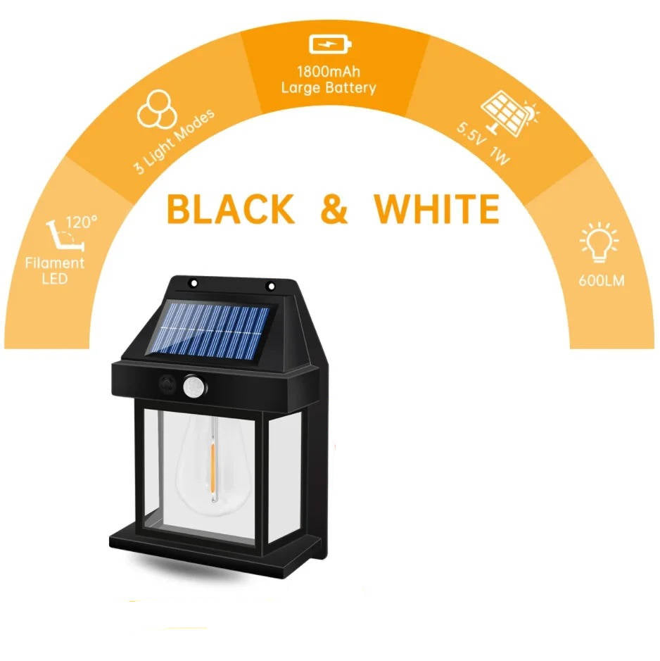 Illuminating Solar Wall Light Duo for Outdoors