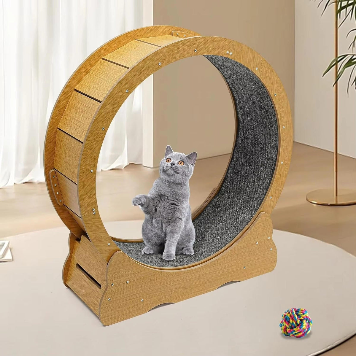 Purrfect Motion Cat Fitness Wheel