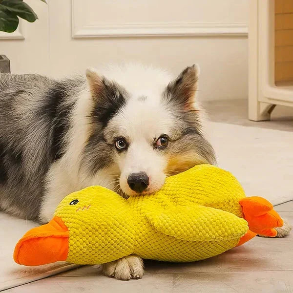 Soothing Tough Quacker Toy