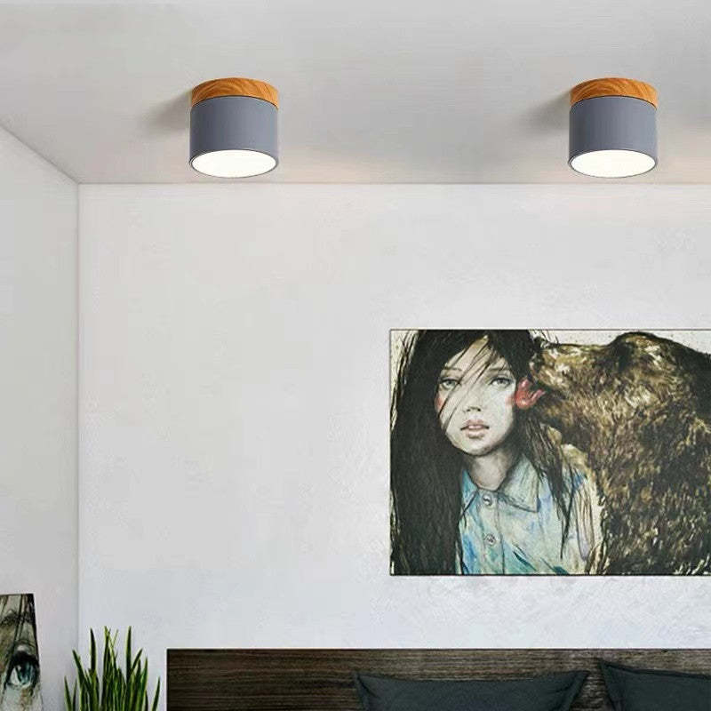 Modern LED Ceiling Light in Morandi Style