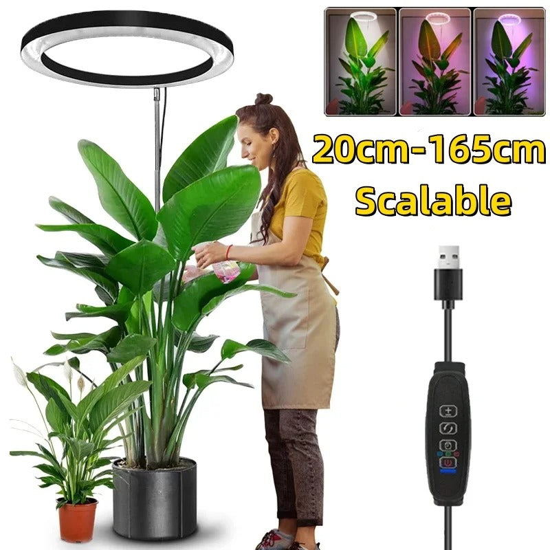 Indoor Plant Illumination System