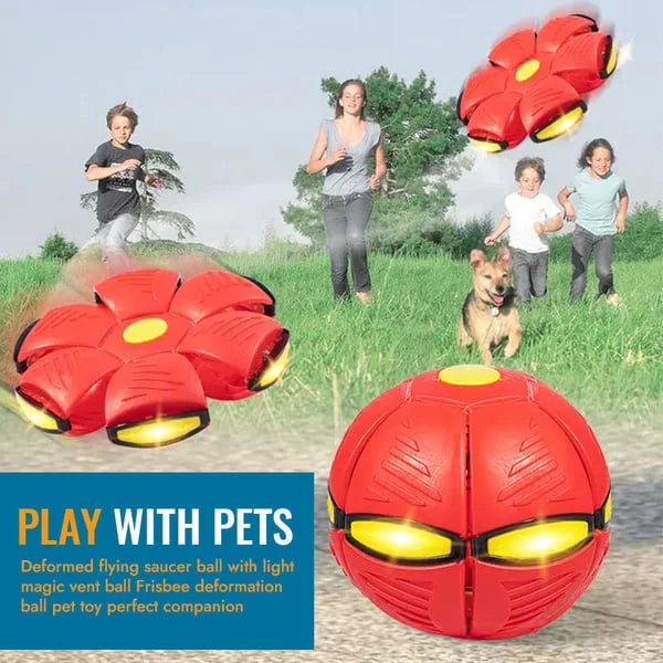 Bounce & Glow Frisbee Dog Plaything