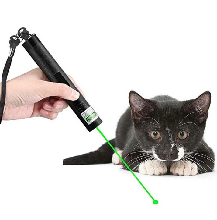 Versatile Dual-Beam Laser Pointer for Precise Targeting