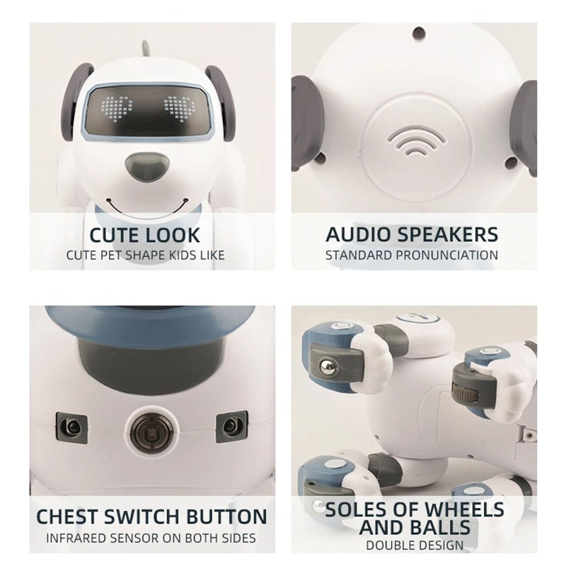 Interactive Companion Robot for Kids