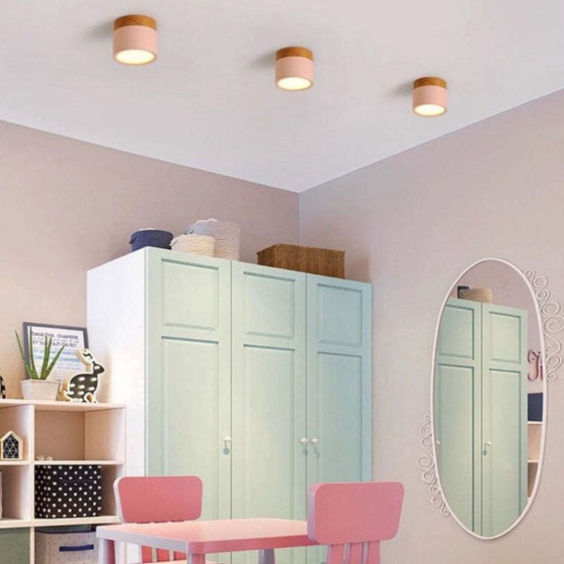 Modern LED Ceiling Light in Morandi Style