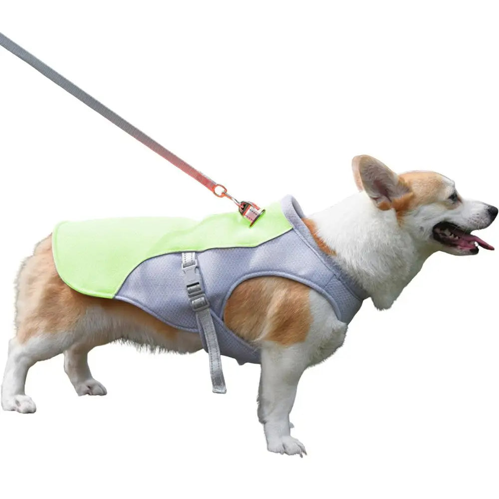 Cooling Jacket for Dogs - Perfect for Summer Adventures