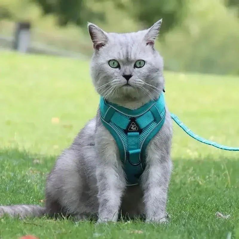 PawGuard – Ergonomic Y-Design Cat Harness