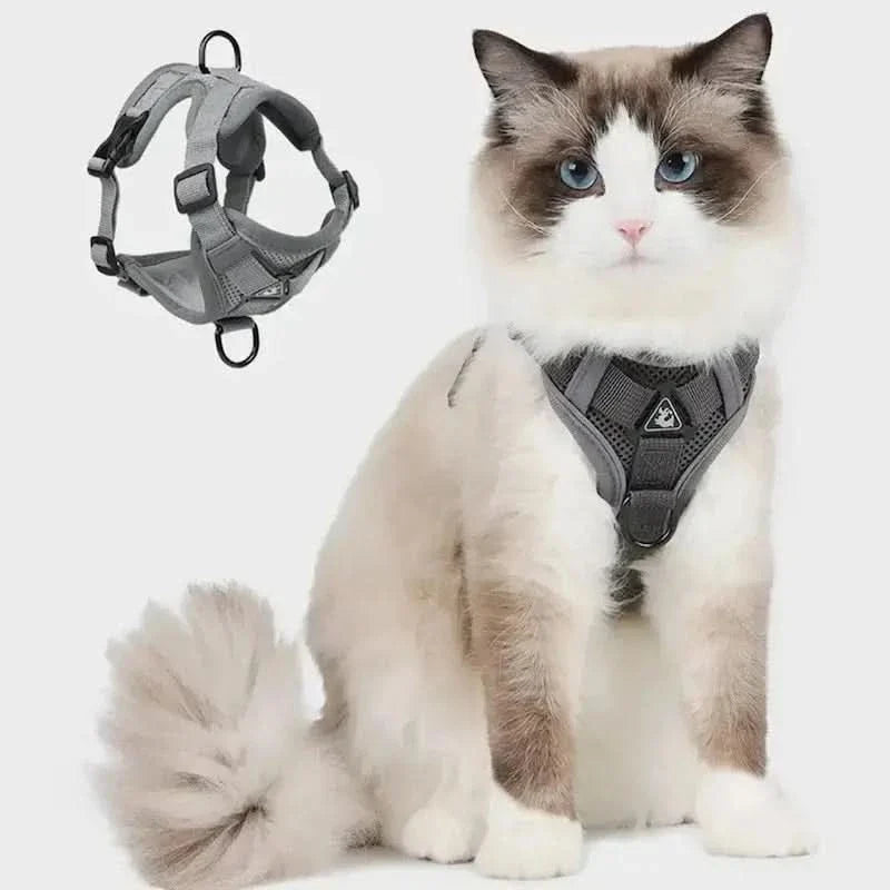 PawGuard – Ergonomic Y-Design Cat Harness