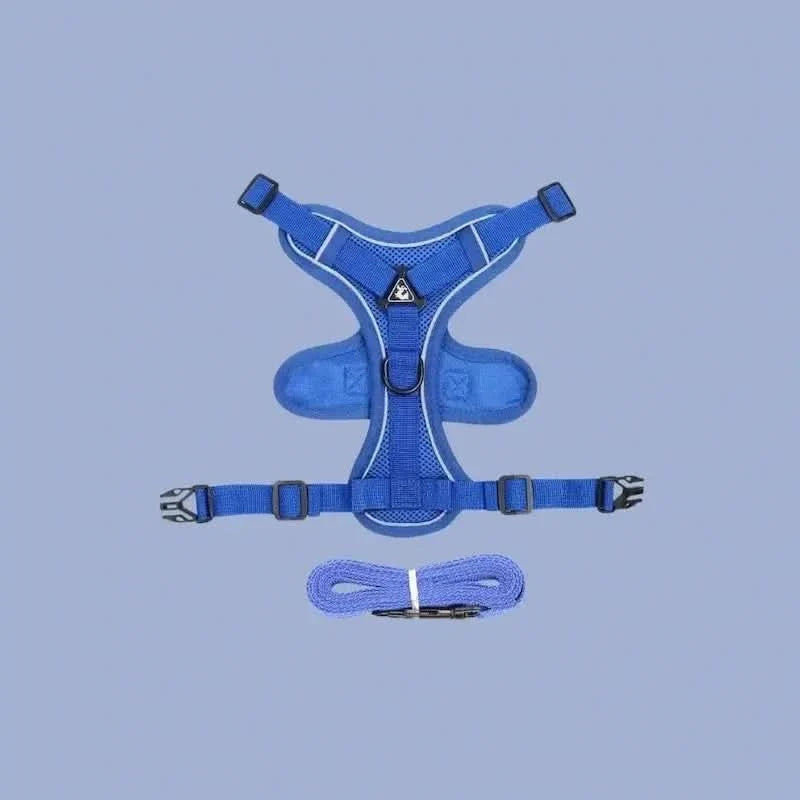 PawGuard – Ergonomic Y-Design Cat Harness
