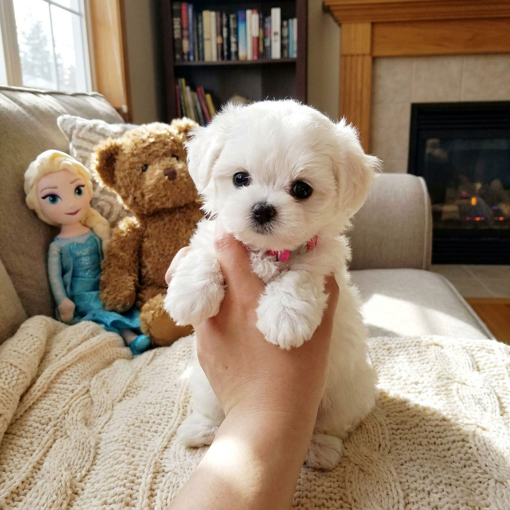 Lifelike Weighted Puppy Plush Toy – 14-Inch Cuddly Companion