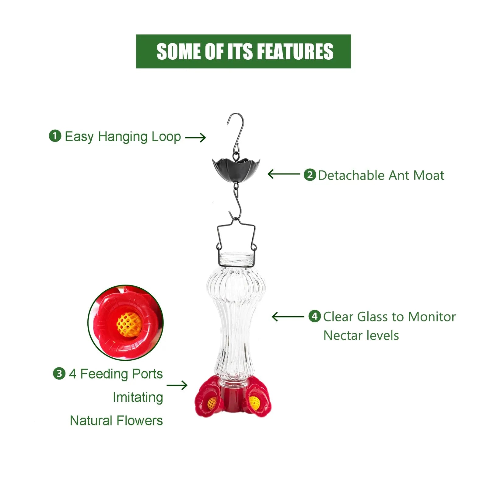 Vibrant Glass Hummingbird Feeder with Ant Barrier