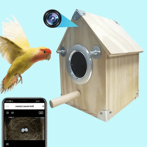SmartNest Birdwatching Camera with Remote Access