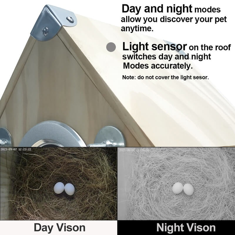 SmartNest Birdwatching Camera with Remote Access