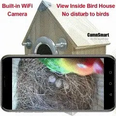 SmartNest Birdwatching Camera with Remote Access