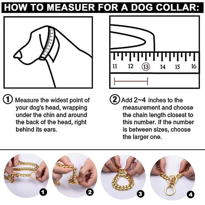 Ultimate Durable Collar for Strong Dogs