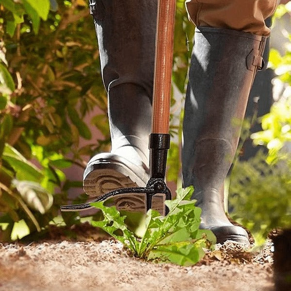 ErgoWeed Eliminator Tool for Effortless Lawn Care