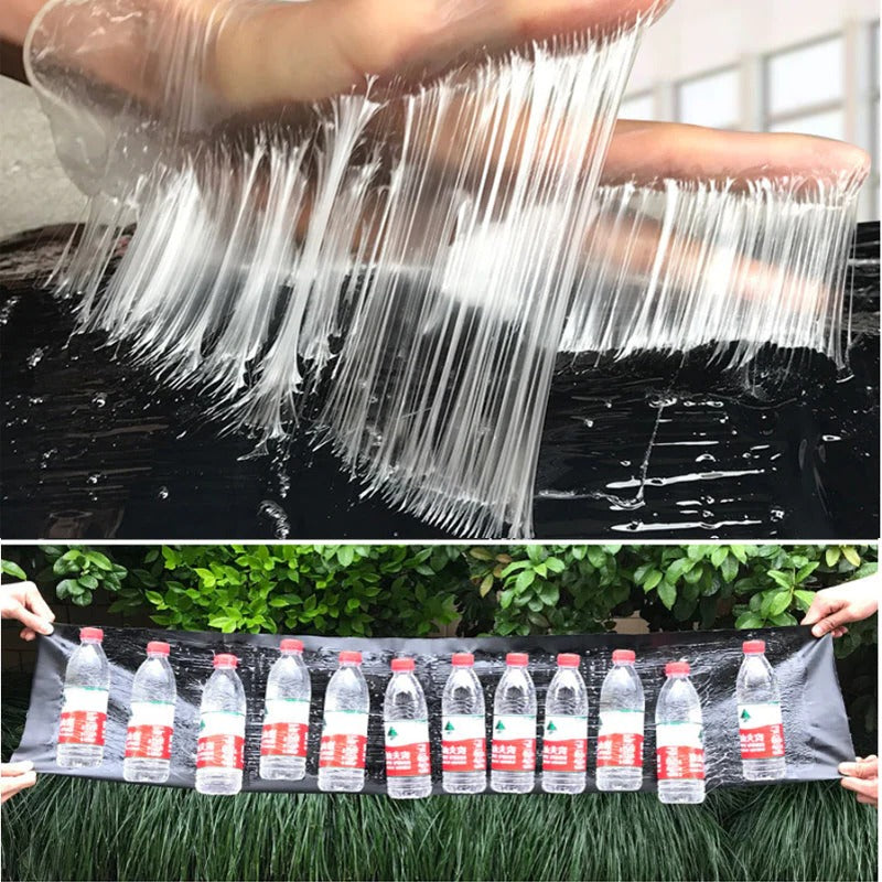 Extra-Large Pest Catcher with Versatile Design