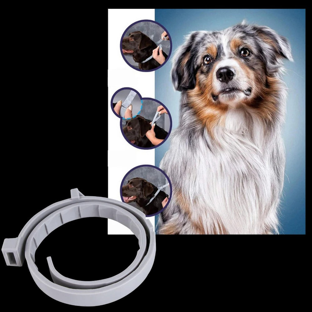 Pest Defense Pet Collar for Dogs and Cats