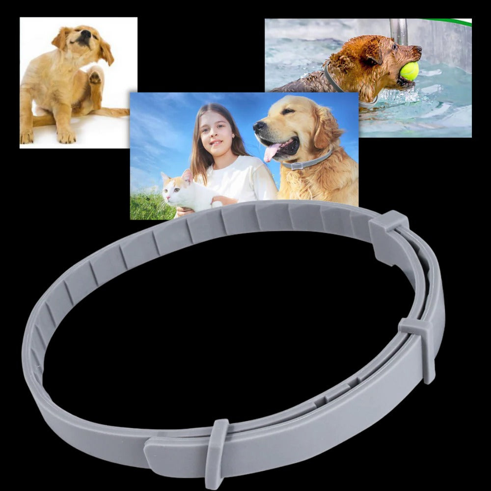 Pest Defense Pet Collar for Dogs and Cats