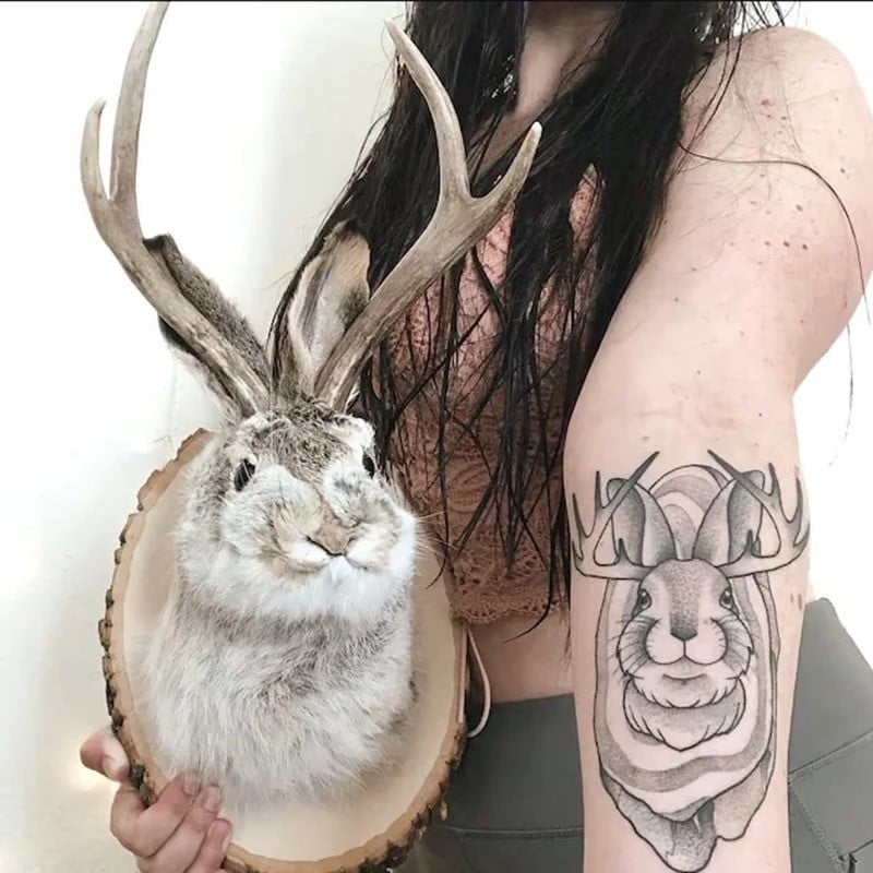 Whimsical Antlered Creature Wall Art
