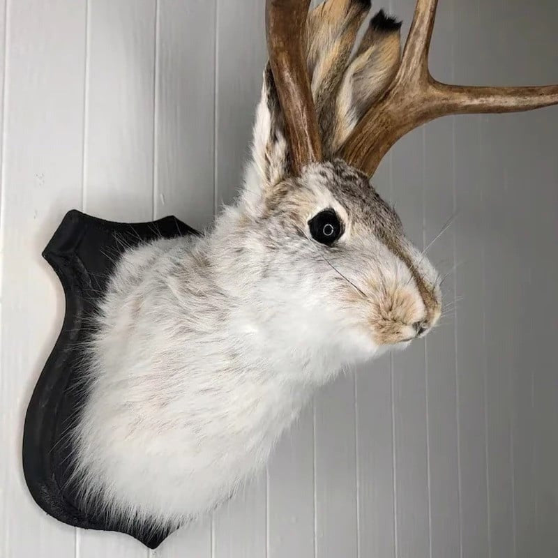 Whimsical Antlered Creature Wall Art