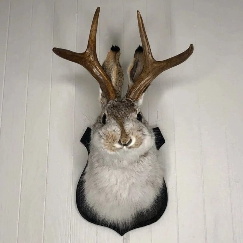 Whimsical Antlered Creature Wall Art