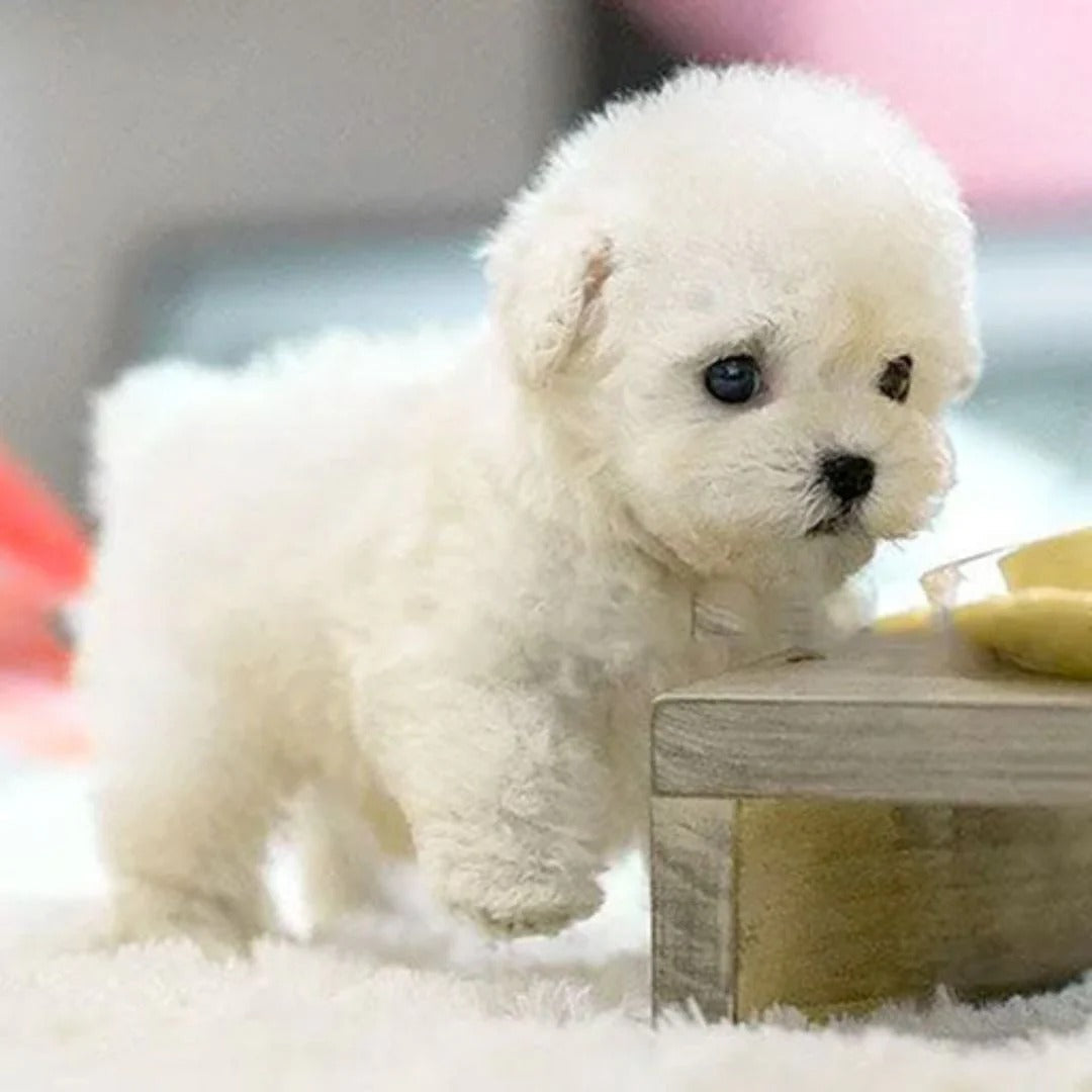 PawPal Interactive Robotic Dog – Responsive and Lifelike Companion