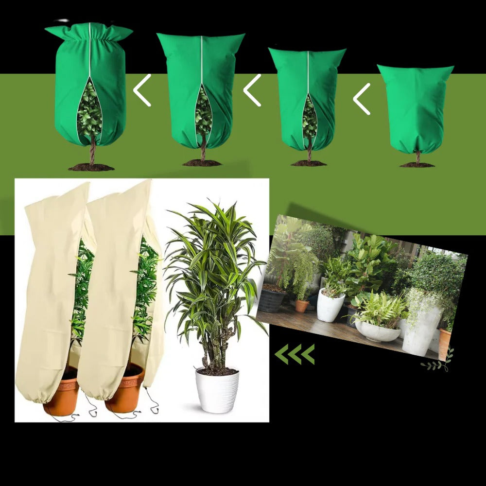 Winter Shield Plant Covers for Ultimate Frost Protection