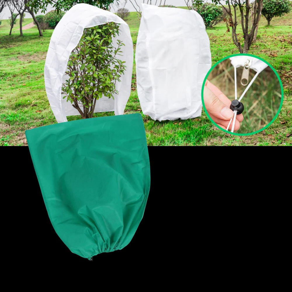 Winter Shield Plant Covers for Ultimate Frost Protection