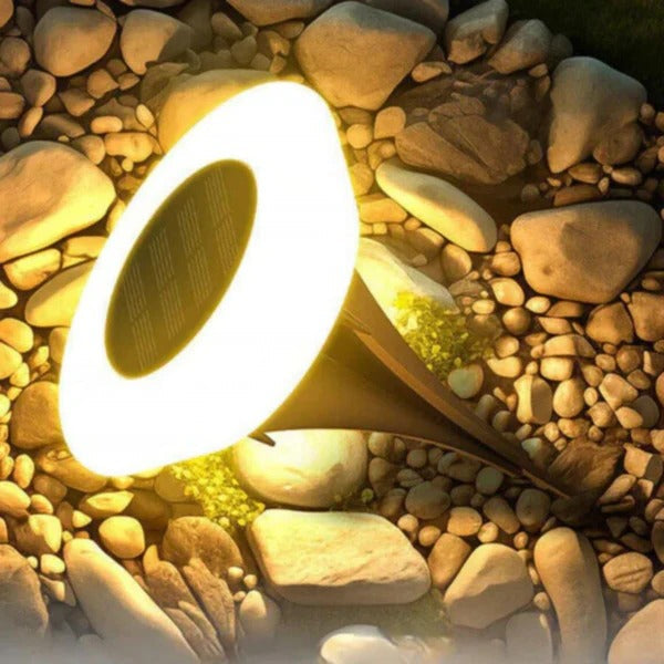 Weather-Resistant Solar Garden Lights for Year-Round Brilliance
