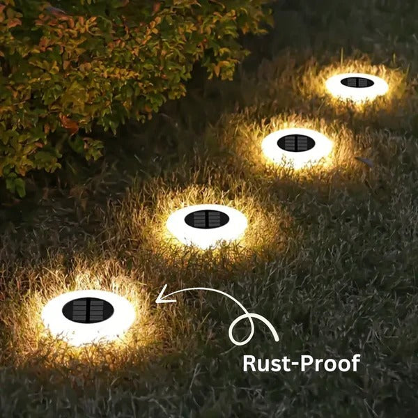 Weather-Resistant Solar Garden Lights for Year-Round Brilliance
